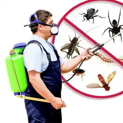 pest control West Alton